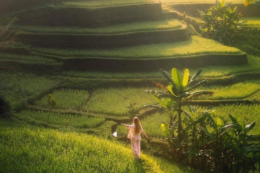 Kanto Lampo Waterfall, Tirta Empul Temple & Rice Terrace Tour 2