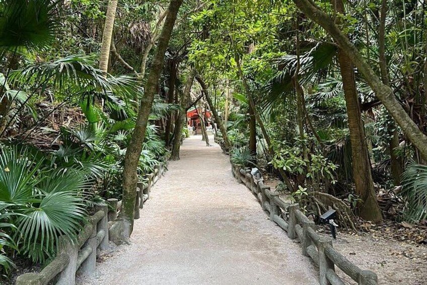Miyazaki: Aoshima Shrine & Devil's Washboard Tour 4