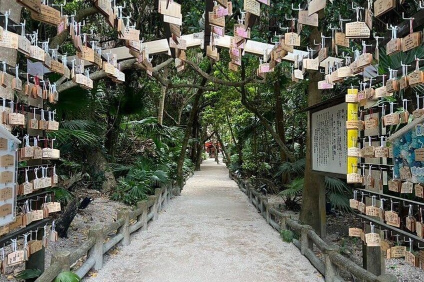 Miyazaki: Aoshima Shrine & Devil's Washboard Tour 5