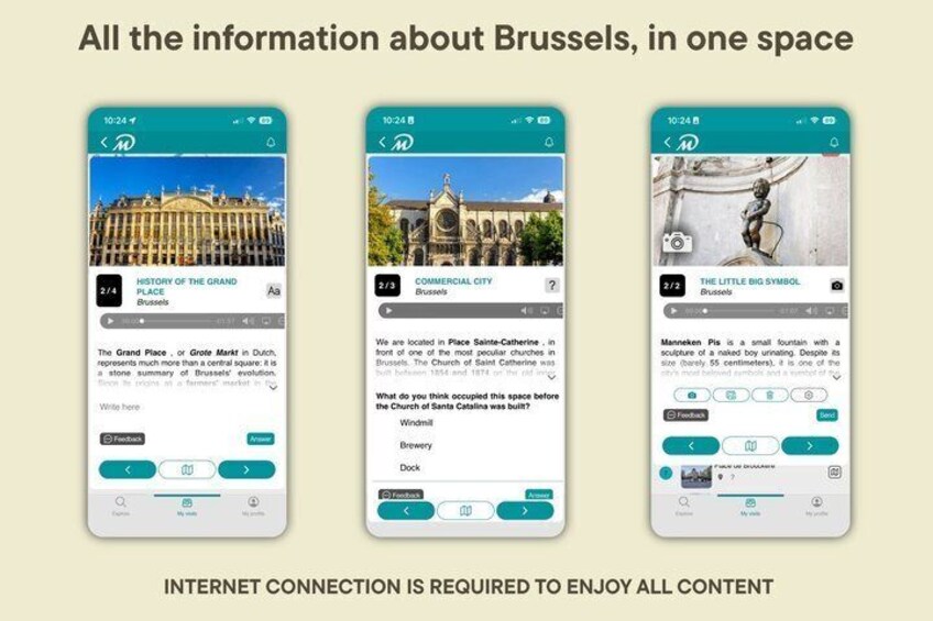 TOP Brussels : Private Guided Tour with your mobile 2