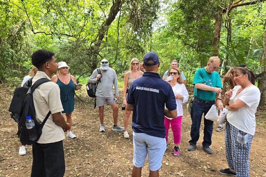 A group of people in a forested area, some with backpacks, engaged in a discussion. 2