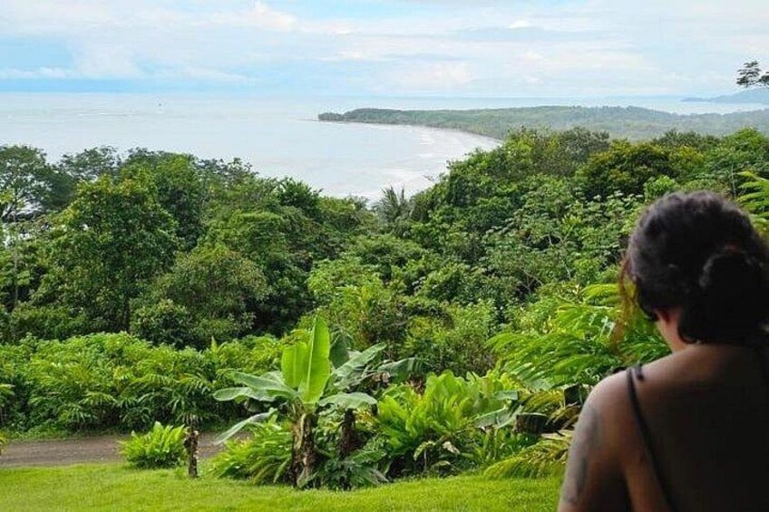 A lush green landscape with dense foliage and a view of the ocean. 5