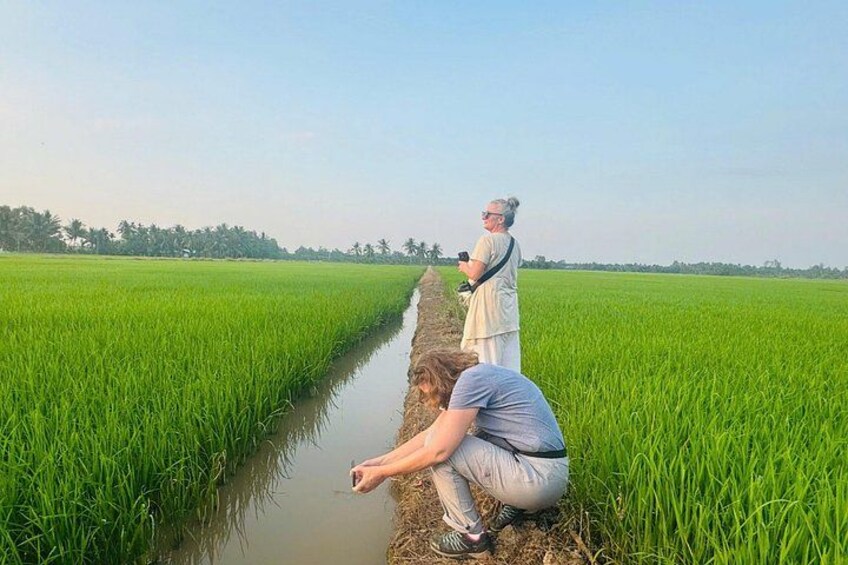 Two people in a rice field with a narrow water channel. 3
