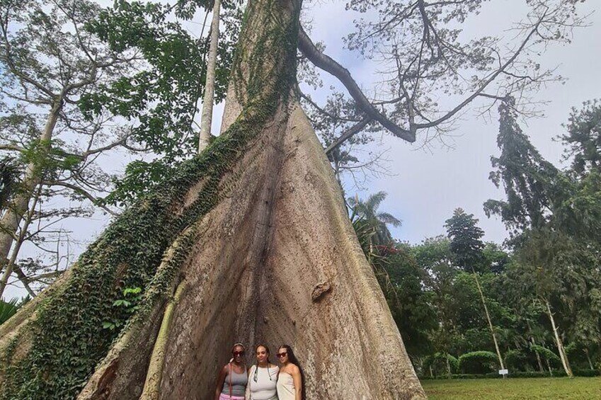 Quad biking, Waterfall and Botanical Garden tour 4