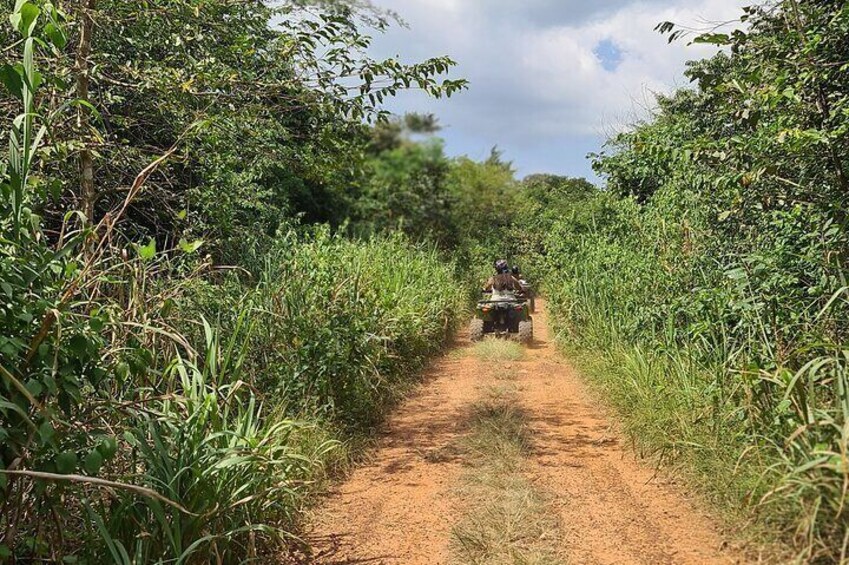 Quad biking, Waterfall and Botanical Garden tour 2