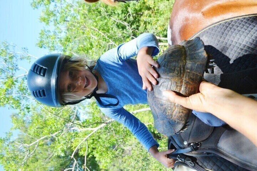 Eine Person mit Helm und langärmligem Hemd, die einen Helmriemen hält. 2