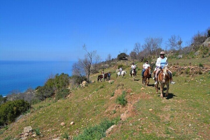 Eine Gruppe von Reitern bei einer Ausritt auf einer grasbewachsenen Anhöhe mit Blick auf das Meer. 4