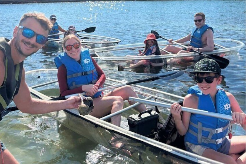 2-Hour Clear Kayak Mangrove Eco Tours, St Pete 1