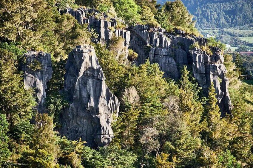 A rugged cliff formation with dense forest. 3