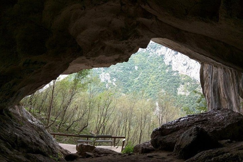 A cave entrance with a bench inside, surrounded by trees. 2