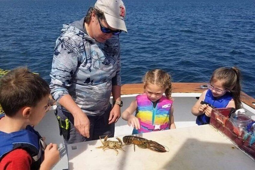 Private Maine Lobstering and Scenic Cruise 2