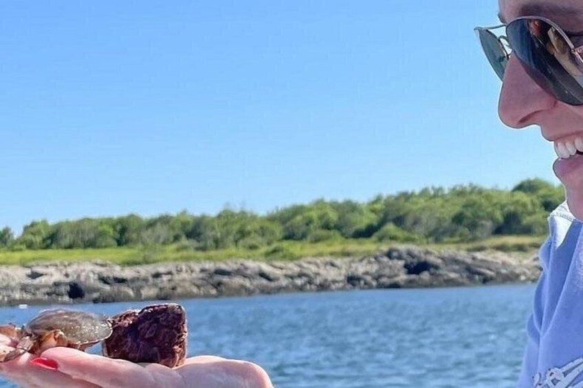Private Maine Lobstering and Scenic Cruise 2