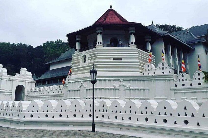 https://media-cdn.tripadvisor.com/media/attractions-splice-spp-720x480/0a/9d/3d/a7.jpg 5