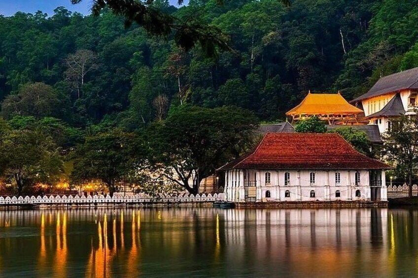 8 Days Private Tour of Sri Lanka from Colombo 1