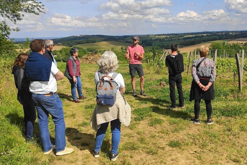 Eine Gruppe von Menschen steht auf einem grasbewachsenen Hügel, im Hintergrund ein Weinberg. 3