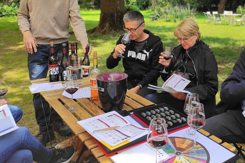 Tasting with the winemaker, accompanied by a box of aromas for an enriched sensory experience. 1