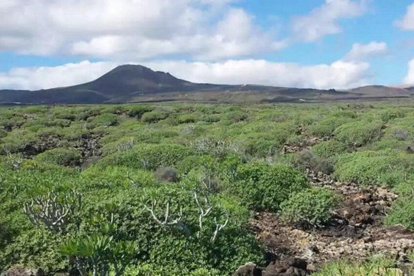 Corona Volcano 2