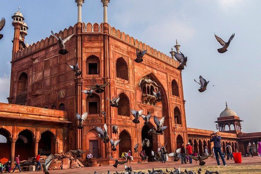 From Delhi 5 Days Private Golden Triangle Tour With Ranthambore 2