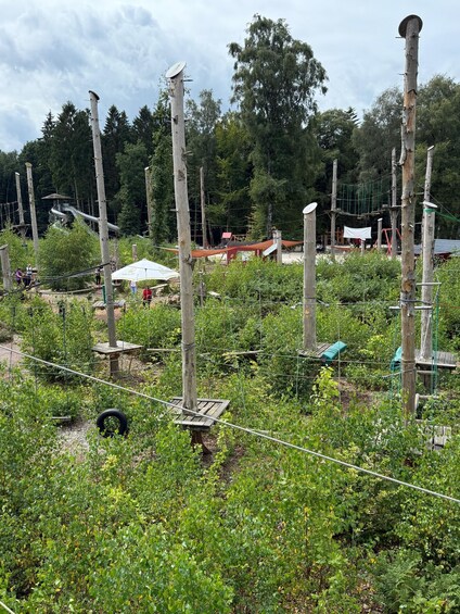 A rope bridge, wooden poles, and a forested area. 3