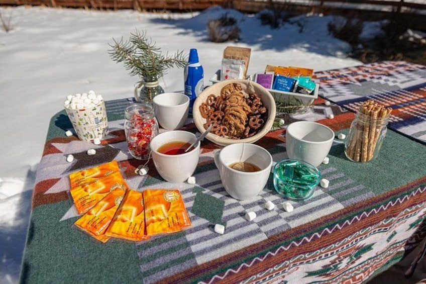 A table set outdoors with snacks, drinks, and a blanket. 3