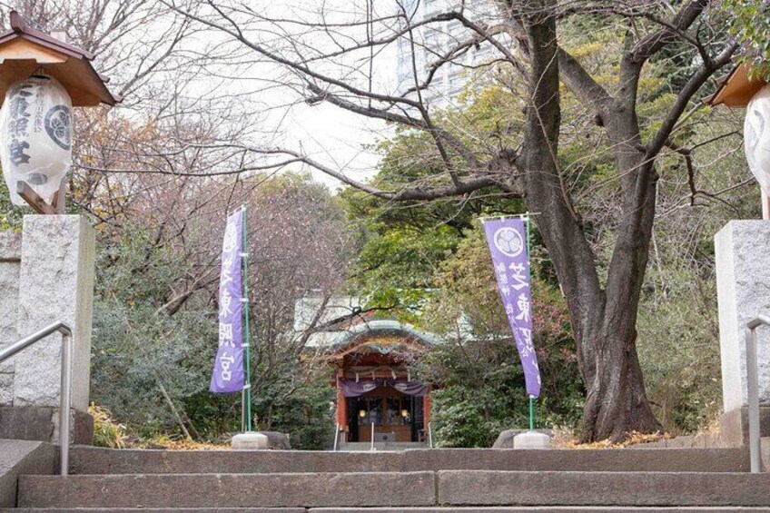 Un torii tradicional japonés con un farol de piedra y una pagoda al fondo. 5