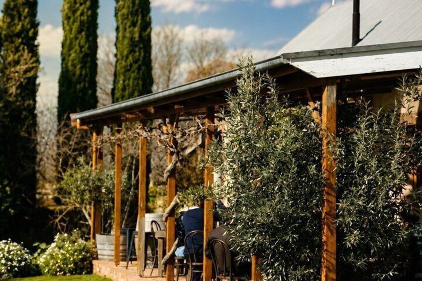 A wooden pergola with climbing plants, a table, and chairs in a garden setting. 2