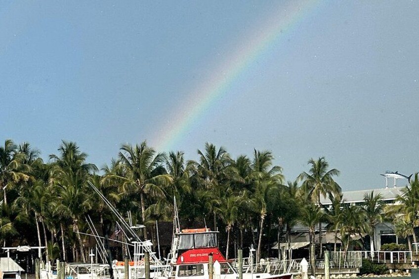 Scuba Diving Charters in Jupiter Florida 5