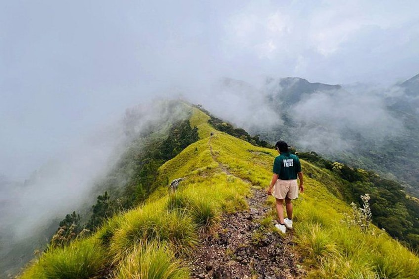 A person hiking on a grassy mountain ridge with fog in the valley below. 1