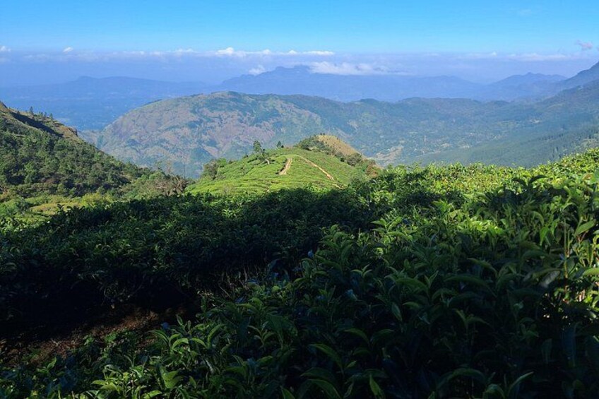 A lush green landscape with rolling hills and a clear sky. 5
