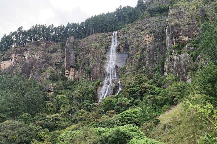 A waterfall cascading down a rocky cliff surrounded by dense green foliage. 3