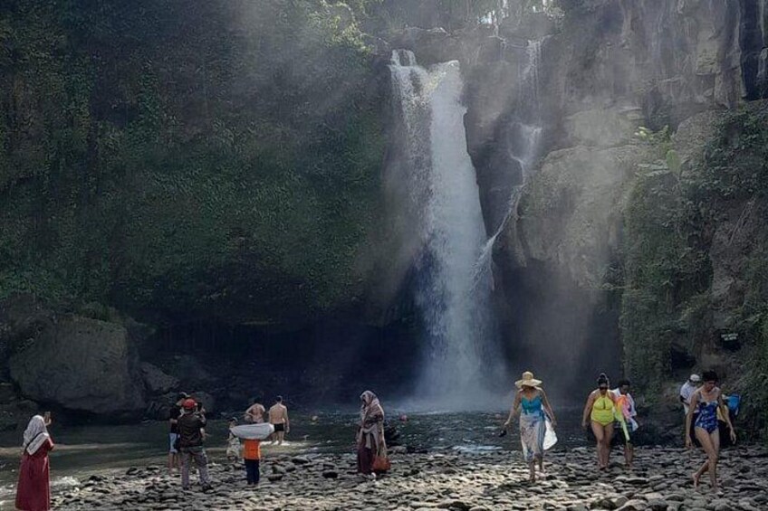 Bali Best of Ubud Countryside Tour All Inclusive 4