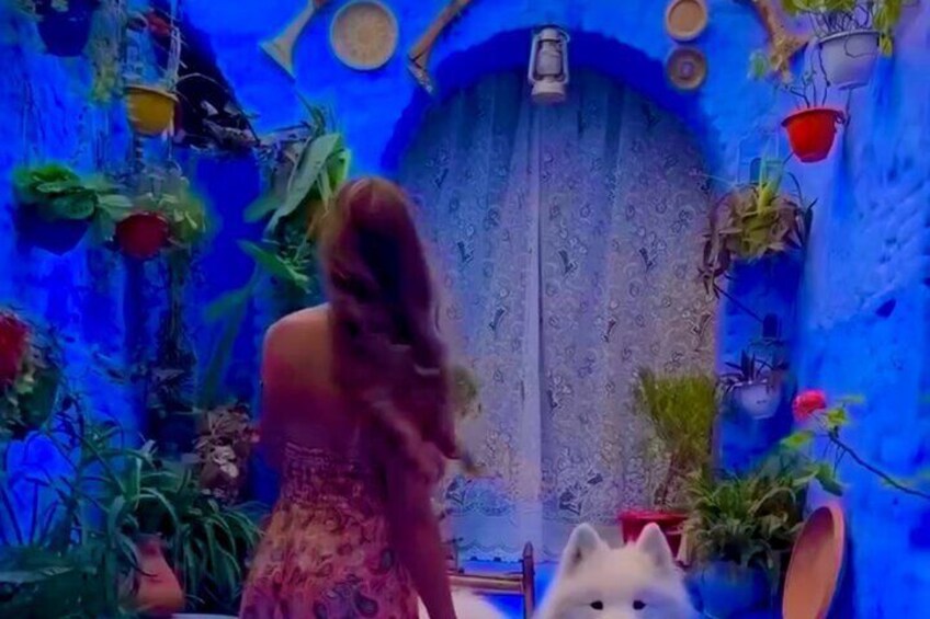 A woman in a patterned dress walking through a blue-themed room with hanging plants and a white cat. 2