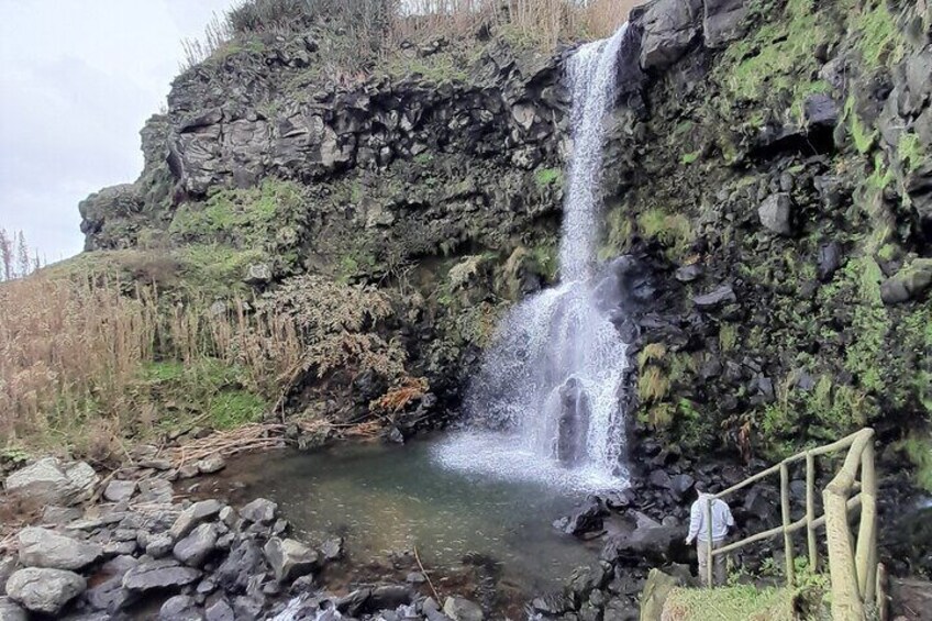 Una cascada se precipita en una poza rocosa rodeada de vegetación. 3