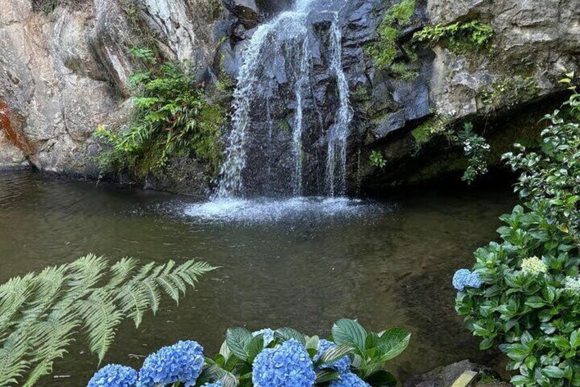 Una cascada que se precipita en un estanque rodeado de exuberante follaje y flores de hortensia azules. 5