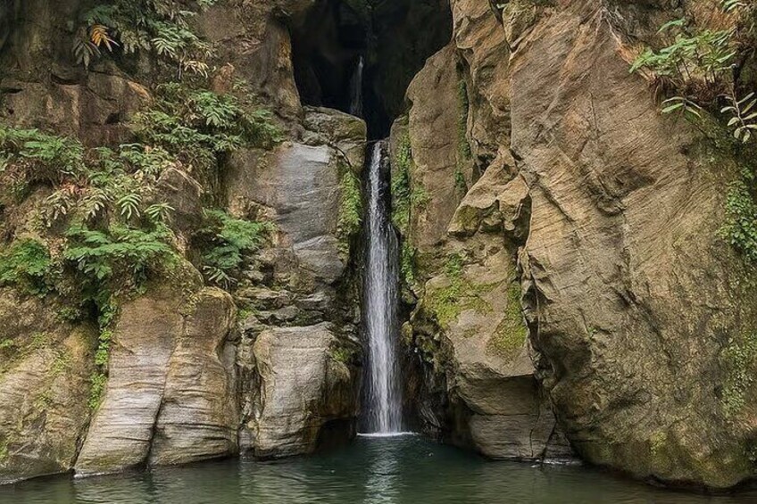 Una cascada se precipita por un risco rocoso hacia una poza rodeada de vegetación musgosa. 4