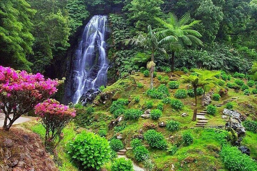 Una cascada, exuberante vegetación y una señalización en un área boscosa. 1