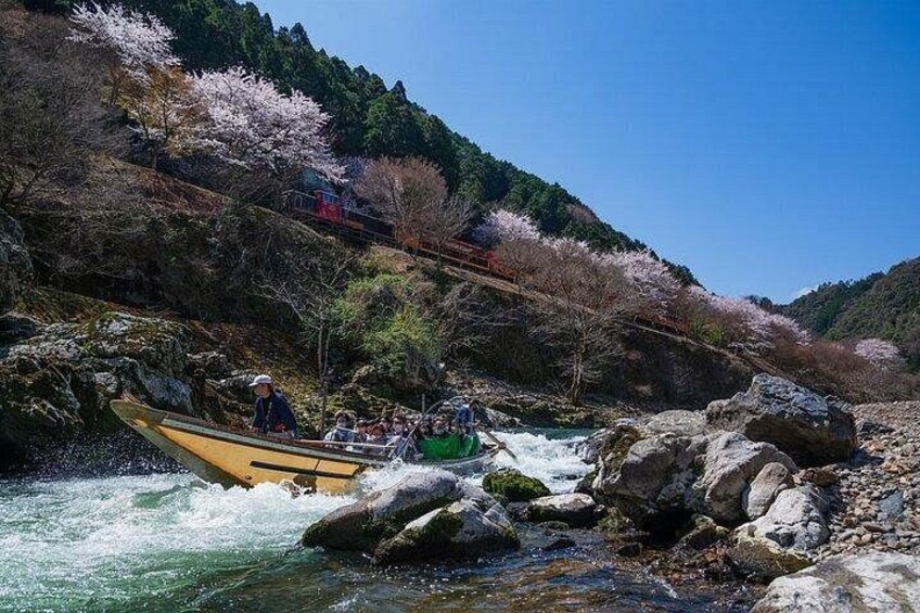 A river with a boat navigating through rapids, surrounded by rocky terrain and cherry blossoms. 4