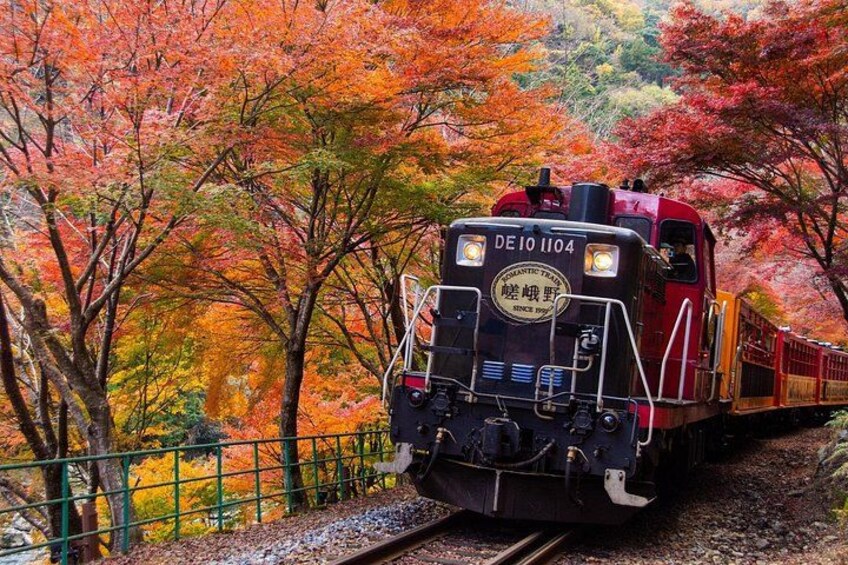 A train with the number DE10 1104 moving through a forest with autumn-colored trees. 1