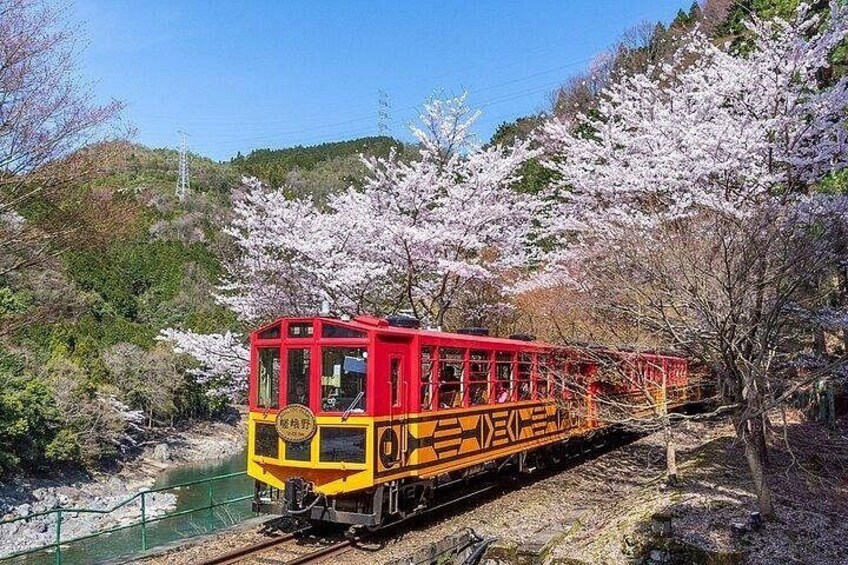 A red and yellow train on tracks surrounded by cherry blossoms. 2