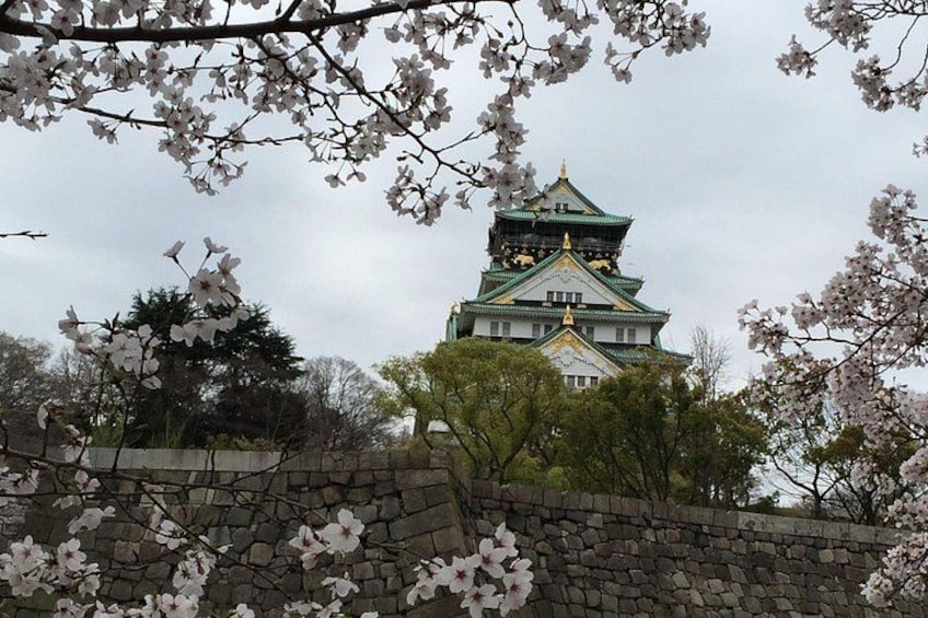 A traditional Japanese castle with a green and white facade, surrounded by cherry blossom trees. 2