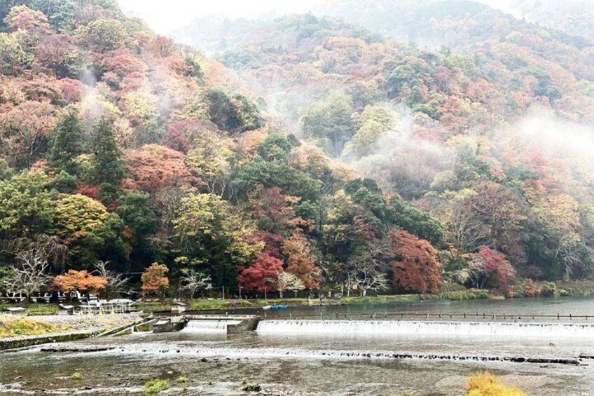A forested hillside with a river and a bridge. 3