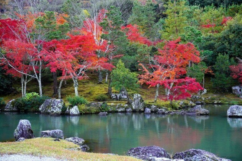 A serene pond surrounded by autumn-colored trees and rocks. 2