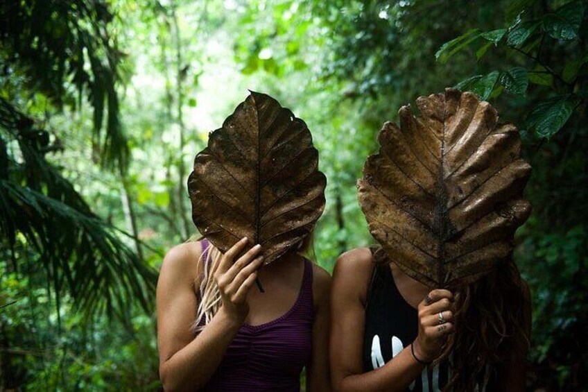 Two individuals holding large leaves in a forested area. 5