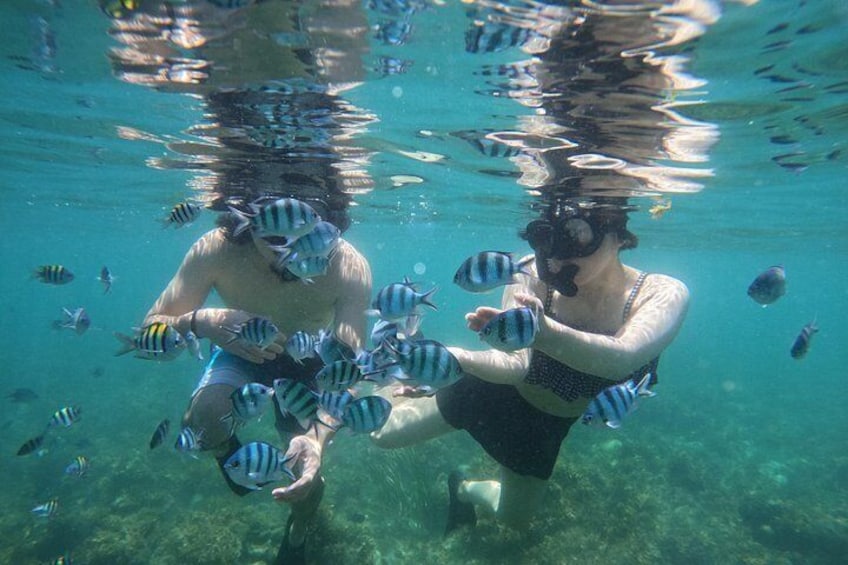 Two people snorkeling underwater with fish. 5