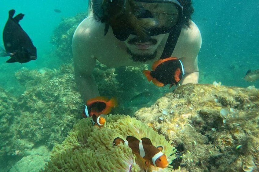A person snorkeling underwater with fish and coral. 4
