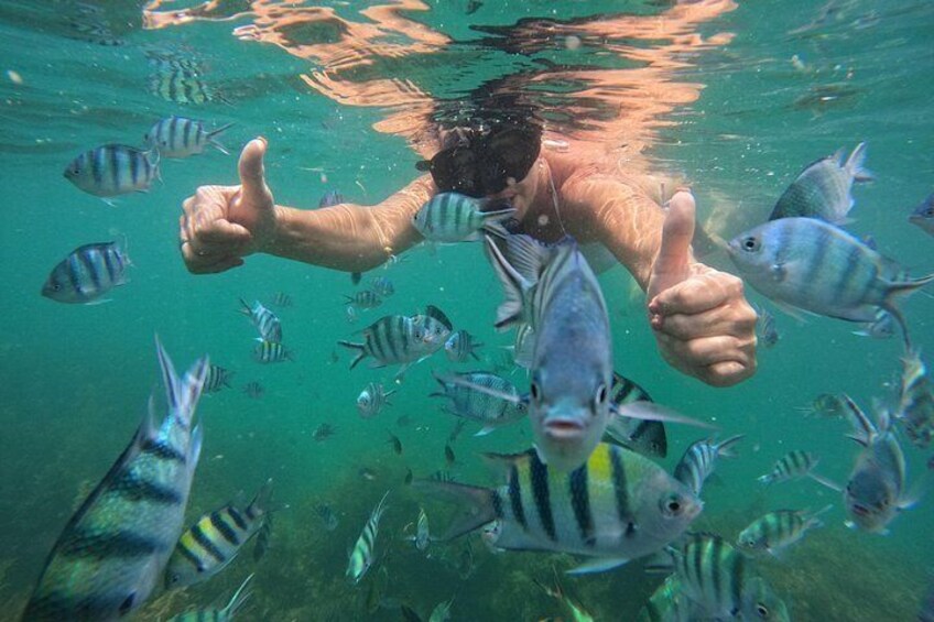 A person underwater giving a thumbs-up gesture surrounded by fish. 1