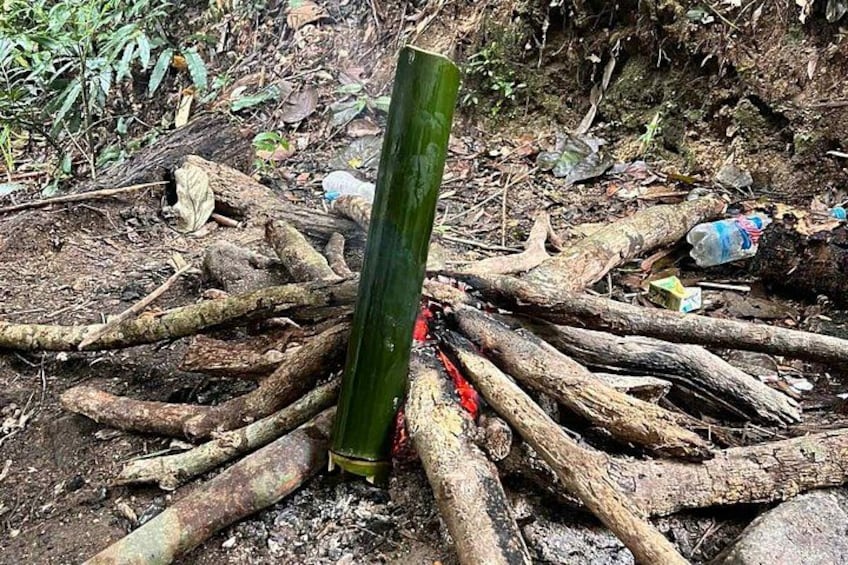 Una botella verde rodeada de ramas dispersas y restos en el suelo. 5