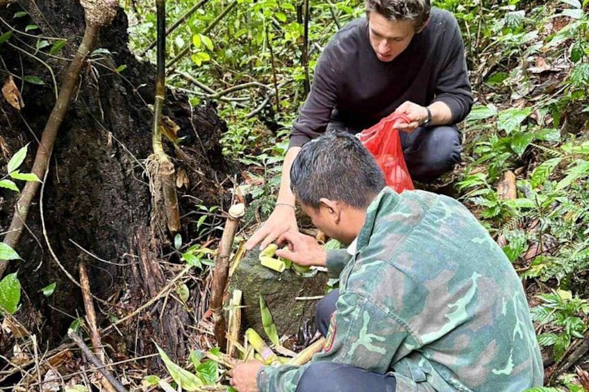 Dos personas en un bosque, una observando una roca y la otra sosteniendo una bolsa roja. 3