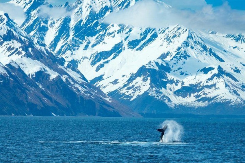 Self Guided Driving Audio Tour Alaska Bundle 2