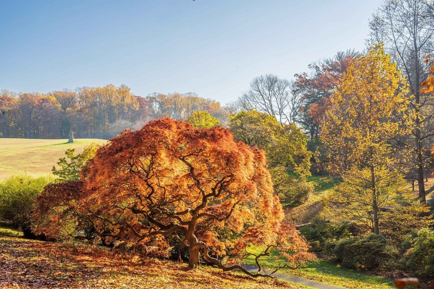 Picture 9 for Activity Winterthur Museum & Garden Entry Ticket 2